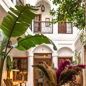 Dar Beldia And Marrakesz
